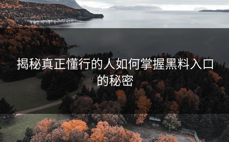 揭秘真正懂行的人如何掌握黑料入口的秘密 揭秘真正懂行的人如何掌握黑料入口的秘密